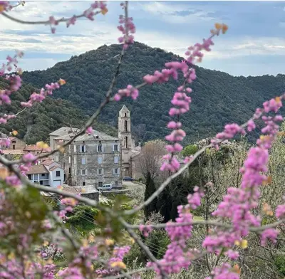 Vue générale sur la montagne ou vue sur la montagne depuis l'appartement