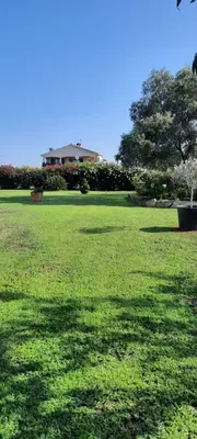 Jardin de l'établissement Le jardin de Domi