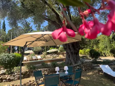 Jardin de l'établissement L’oléado