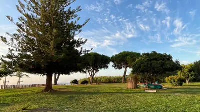Jardin de l'établissement Chez Céline & Rudi