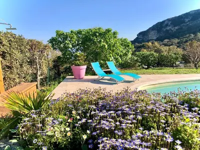 Piscine de l'établissement Bella Vita Brando ou située à proximité