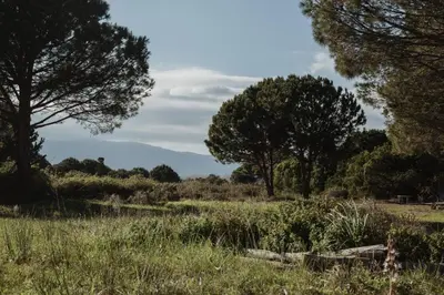Paysage naturel près de le camping