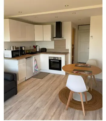 Cuisine ou kitchenette dans l'établissement Jolie petit studio