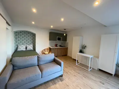Cuisine ou kitchenette dans l'établissement Charmant studio