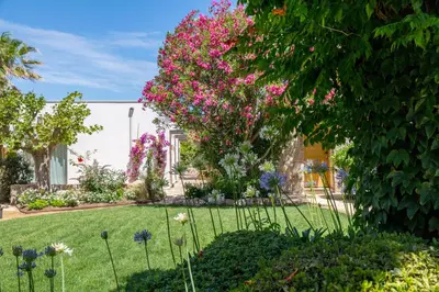 Jardin de l'établissement Hôtel La Caravelle
