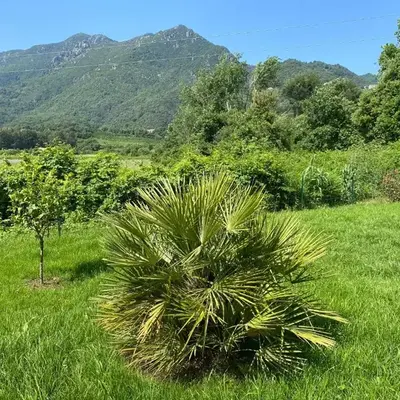 Terra bella Costa Verde T2 classé 3 étoiles