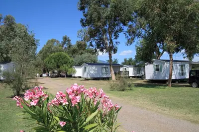 Jardin de l'établissement Camping Miami plage