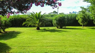 Jardin de l'établissement Two-room apartment 150 meters from the beach - 4 people - Ghisonaccia