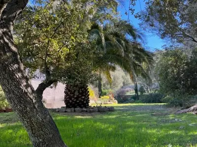 Jardin de l'établissement Maison Jardin d'Agrumes - Lozari