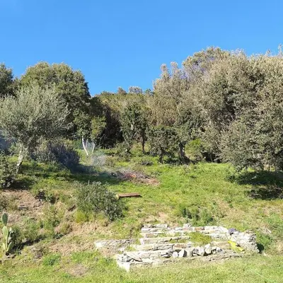 Paysage naturel près de la maison de vacances
