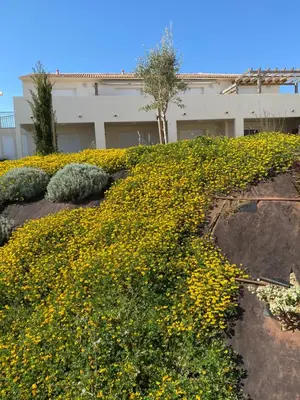 Jardin de l'établissement Studio en bord de mer sur Costa Serena N54