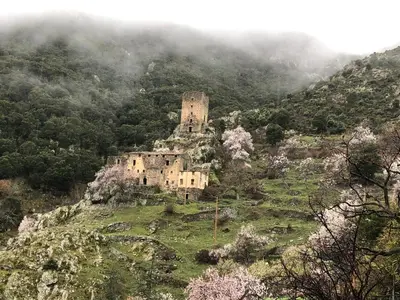 Paysage naturel près de l'appartement