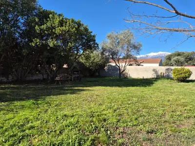 Jardin de l'établissement Bas de villa, Haute-Corse, vue montagne, 5min des plages