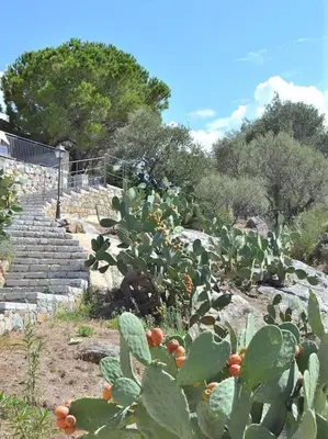 Jardin de l'établissement Standard 2ch vue mer - Ile Rousse