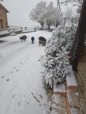 L'établissement U pozzu hôtel en hiver