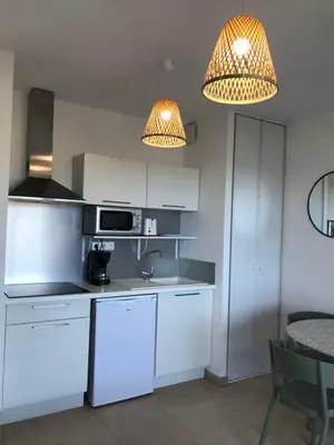 Cuisine ou kitchenette dans l'établissement marina di bravone 185 vue mer
