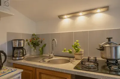 Cuisine ou kitchenette dans l'établissement La Bergerie
