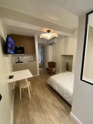 Télévision ou salle de divertissement dans l'établissement Charmant studio hyper centre