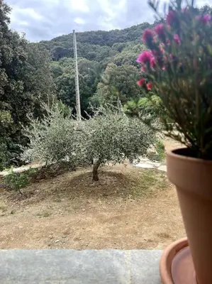 Jardin de l'établissement Maison à la pointe du Cap Corse