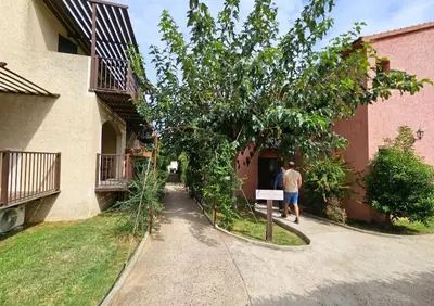 Jardin de l'établissement Bel appartement avec piscine Cap Corse- Sisco