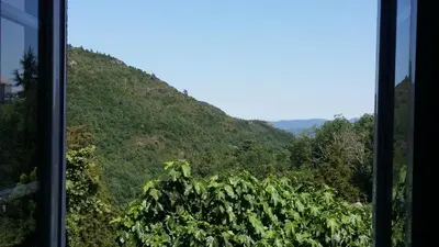 Paysage naturel près de l'appartement