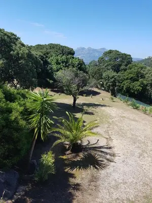 Paysage naturel près de l'appartement