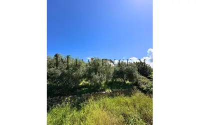 Paysage naturel près de la villa