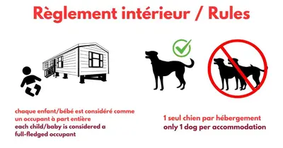 Animal ou animaux domestique(s) séjournant avec des clients dans l'établissement Camping Domaine d'Anghione