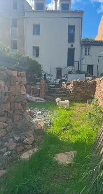 Jardin de l'établissement Typical Corsican Village House with Garden