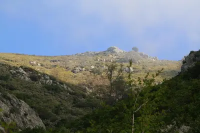 Vue générale sur la montagne ou vue sur la montagne depuis l'appartement