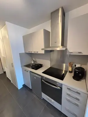 Cuisine ou kitchenette dans l'établissement Appartement centre ville