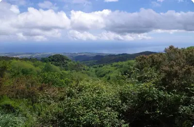Paysage naturel près de l'appartement