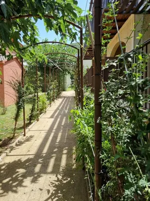 Jardin de l'établissement Appartement confort et équipé proche de la plage