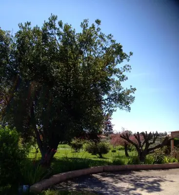 Paysage naturel près de l'appartement