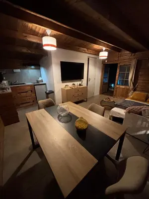 Télévision ou salle de divertissement dans l'établissement Chalet studio
