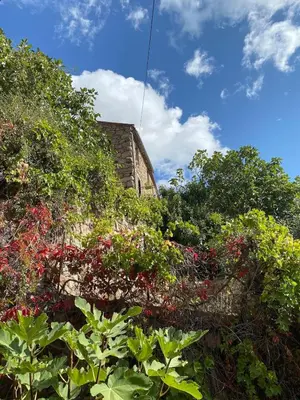 Jardin de l'établissement OTA T2 proche rivières et plages, randonnées
