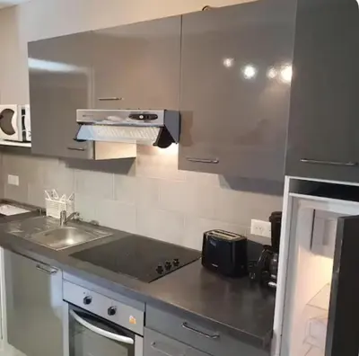 Cuisine ou kitchenette dans l'établissement Appartement Saltare Rivière & maquis