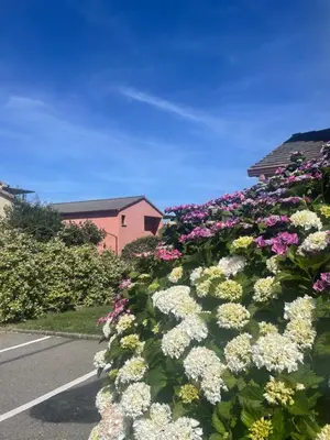 Jardin de l'établissement Studio avec piscine