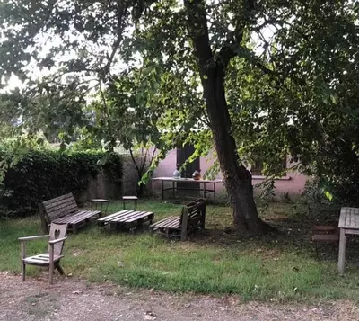 Jardin de l'établissement Joli T1 à ne pas manquer