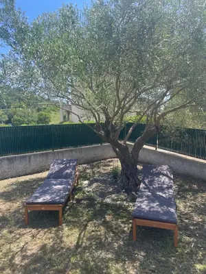 Jardin de l'établissement Les oliviers