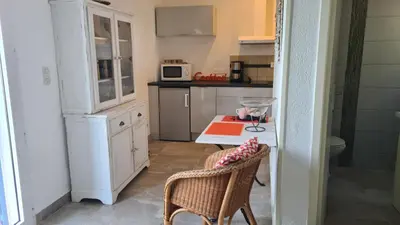 Cuisine ou kitchenette dans l'établissement Palmier