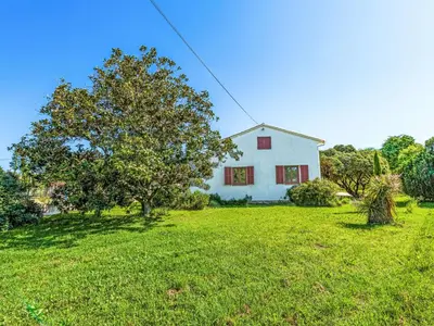 Jardin de l'établissement Holiday Home Casa Féminiccia by Interhome