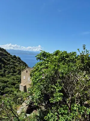 Paysage naturel près de l'appartement