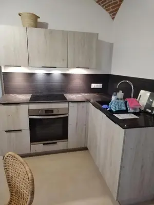 Cuisine ou kitchenette dans l'établissement U Casone