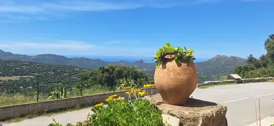 Paysage naturel près de l'appartement