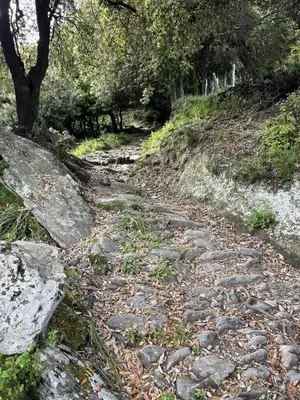 Paysage naturel près de la maison de vacances