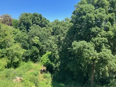 Paysage naturel près de la villa