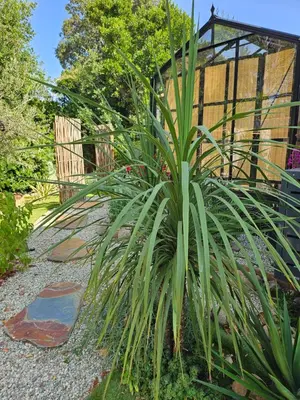 Jardin de l'établissement L orangerie de casaoma