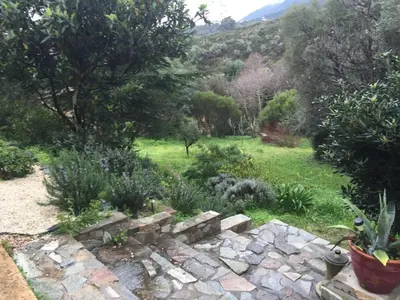 Jardin de l'établissement Agréable bas de villa
