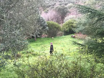 Paysage naturel près de l'appartement